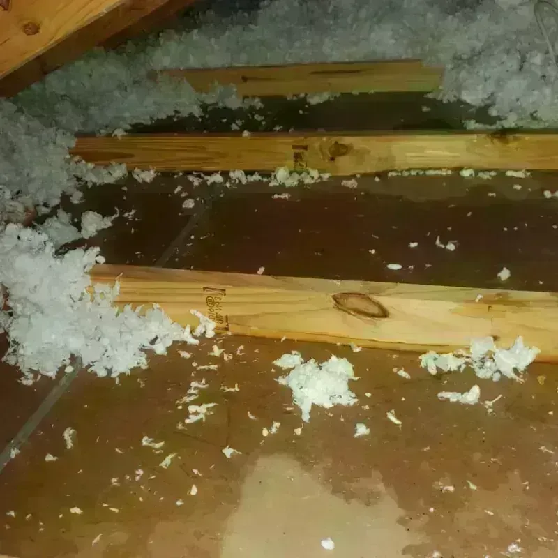 Attic Water Damage in Holderness, NH